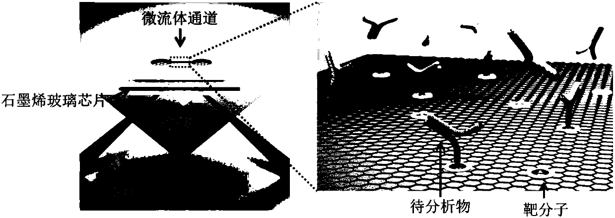 A kind of preparation method of graphene glass chip