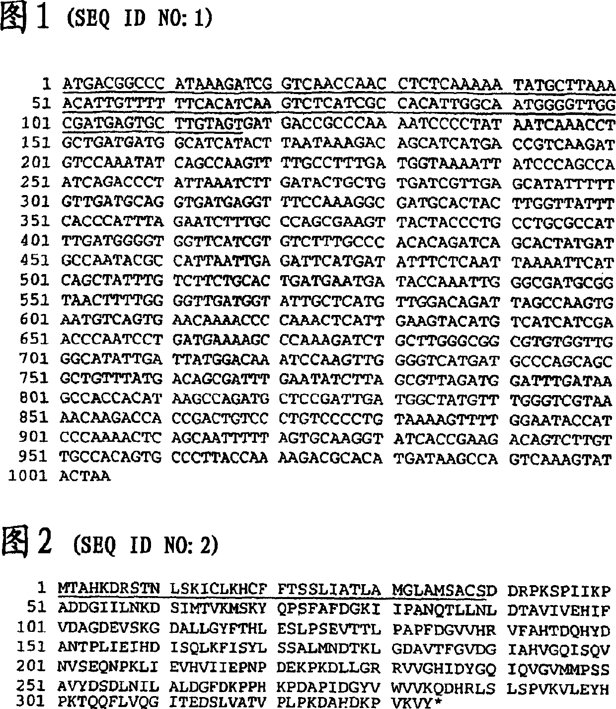 Moraxella (branhamella) catarrhalis antigens