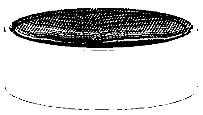 A device for sampling and observing buried shellfish juvenile shellfish and methods for making and using the same