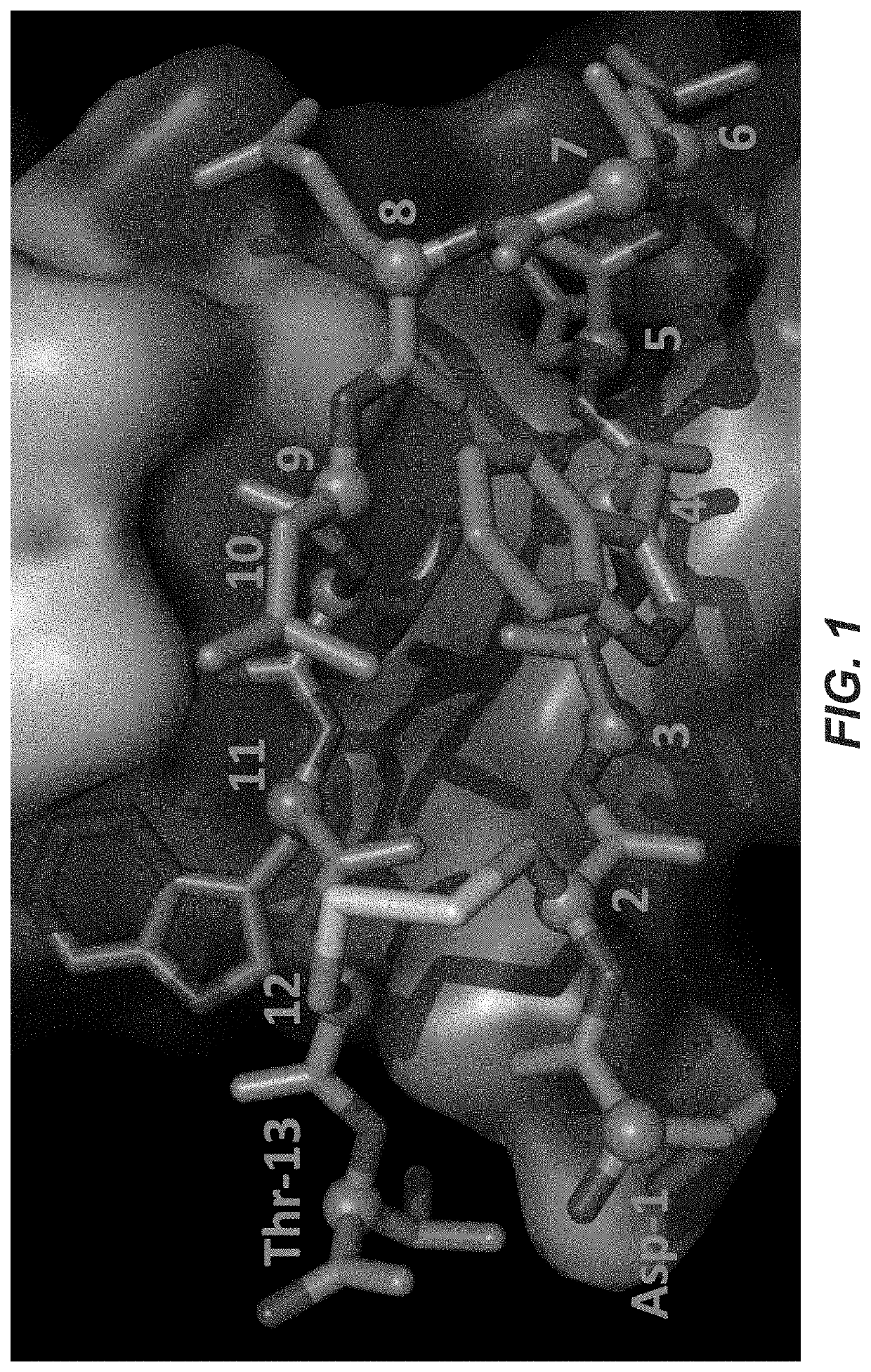 Photocrosslinking peptides for site specific conjugation to fc-containing proteins