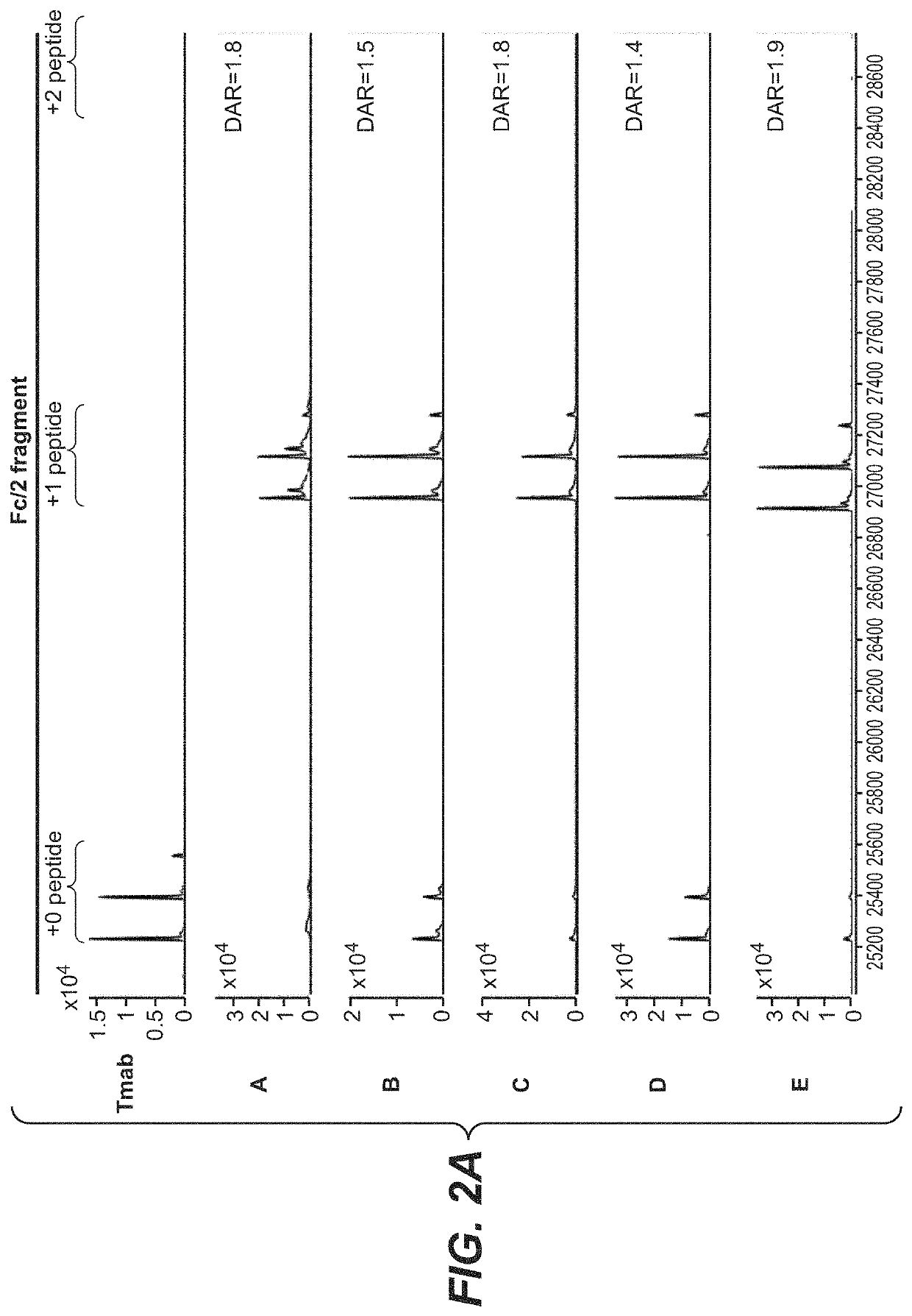 Photocrosslinking peptides for site specific conjugation to fc-containing proteins