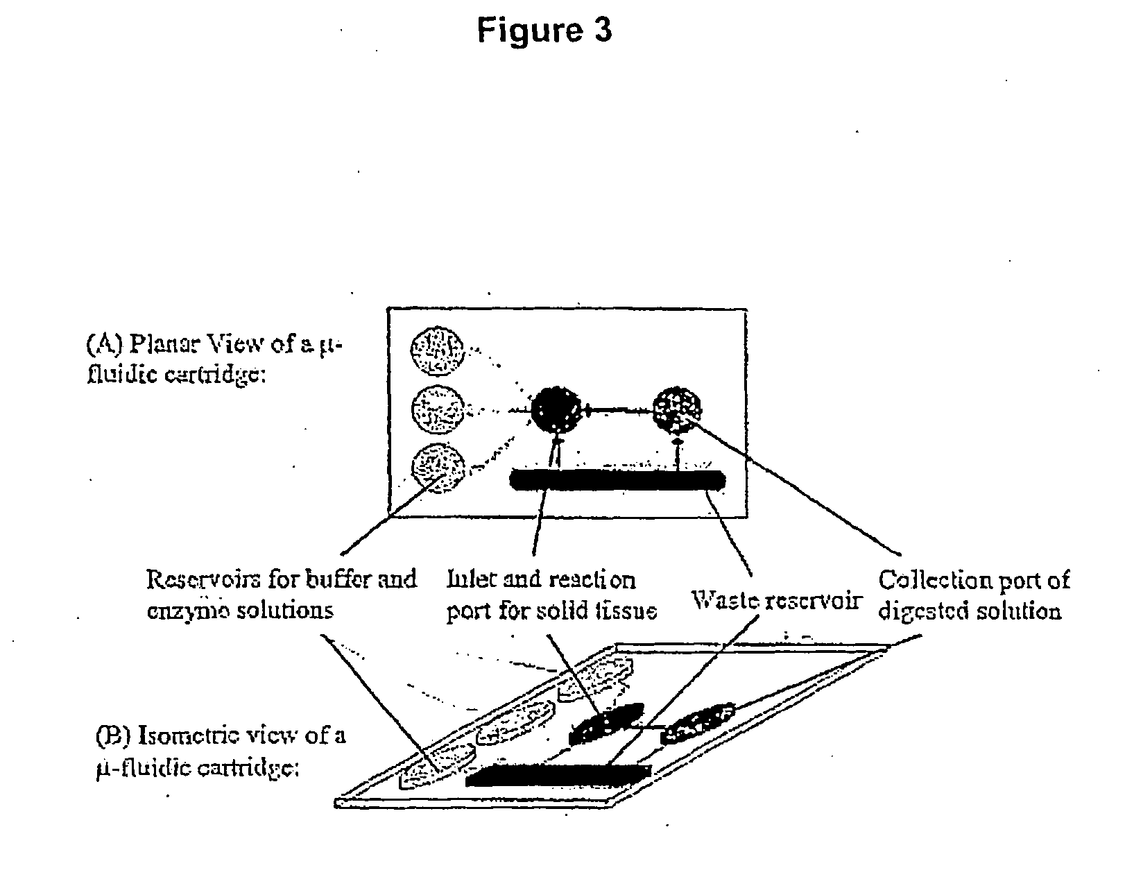 Method and system for cell and/or nucleic acid molecules isolation
