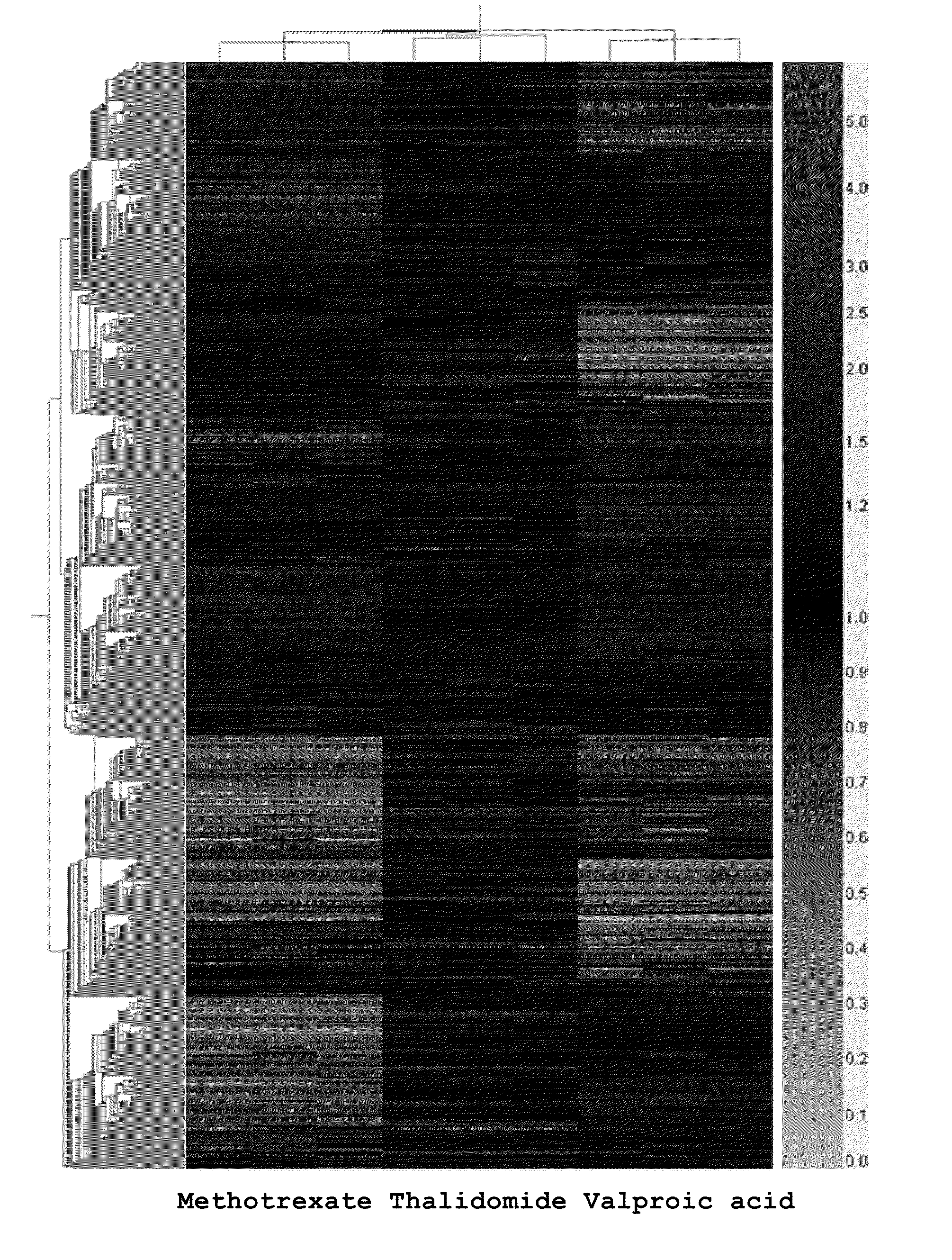 Genes Based on Thalidomide, Valproic Acid and Methotrexate Treatment for Screening of Drug Inducing Teratogenicity and Screening Method Using Thereof