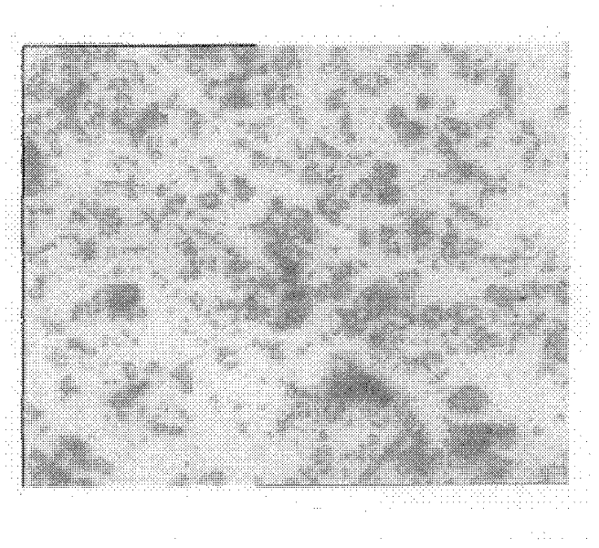Method for producing alpha type high-strength gypsum powder by using desulfurization gypsum serving as industrial byproduct