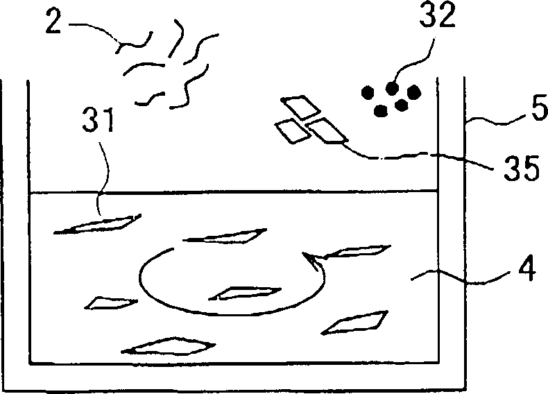 Lichen cultivation sheet and structure greening method using same