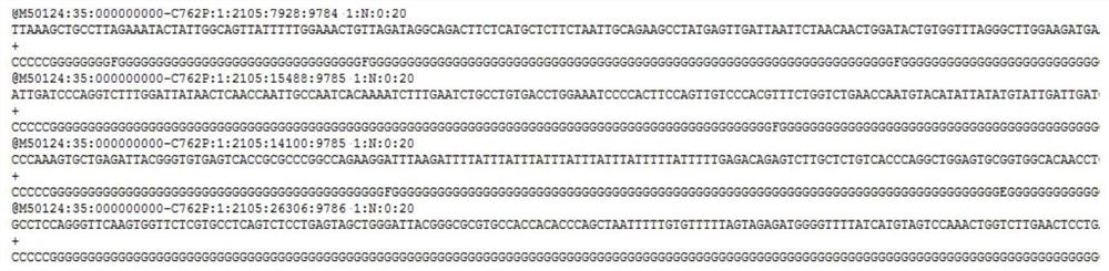 Tumor-related SNP site primer composition and application