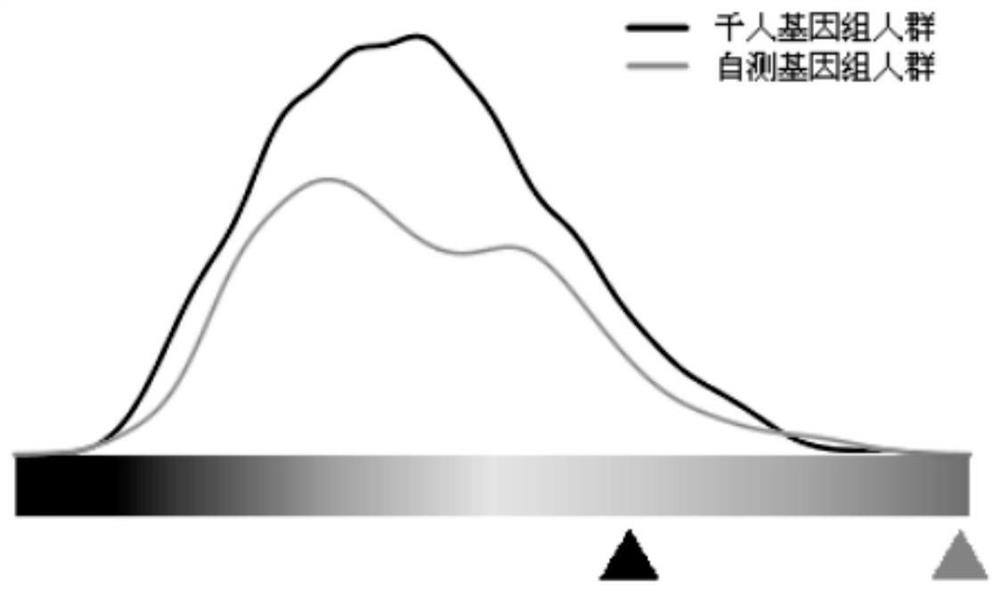 Tumor-related SNP site primer composition and application