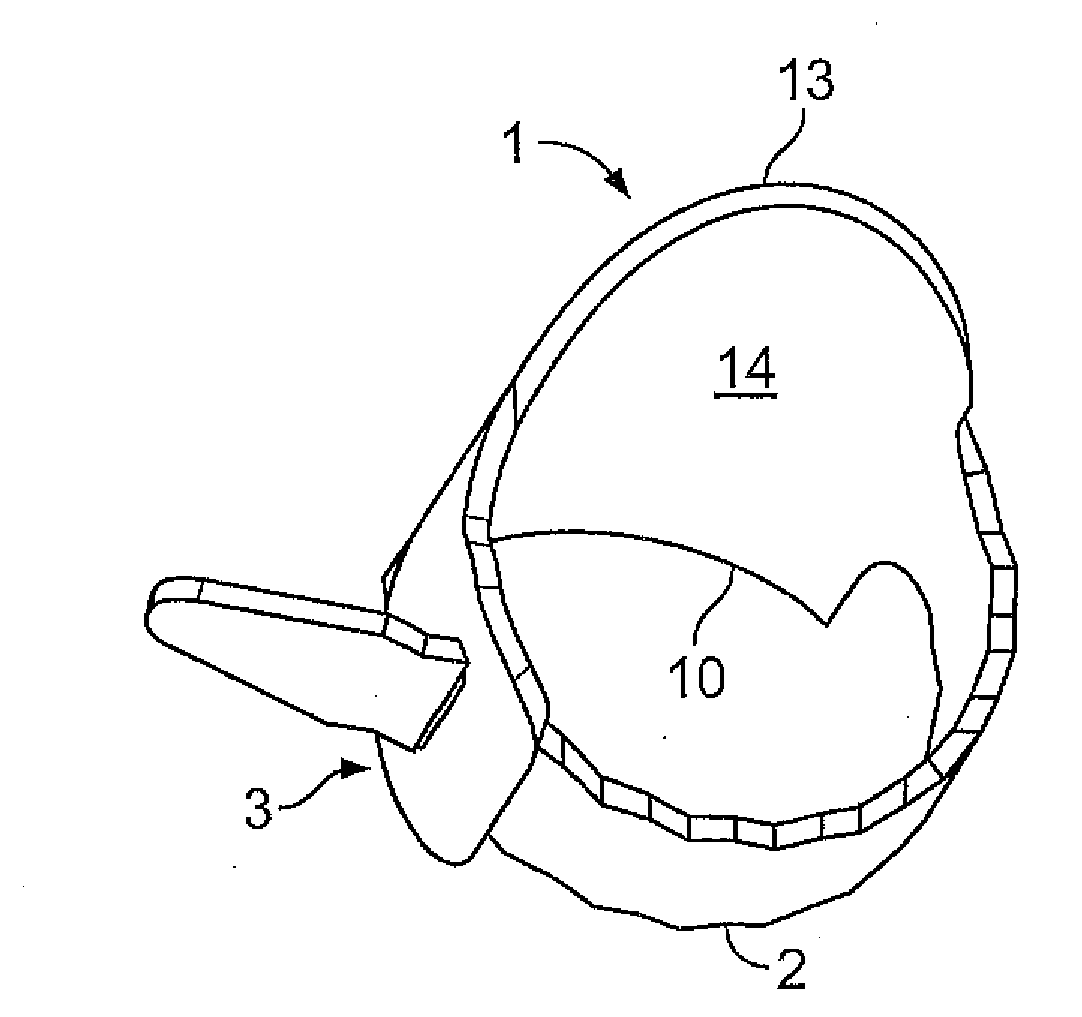 Masking device for a nail and method for masking a nail
