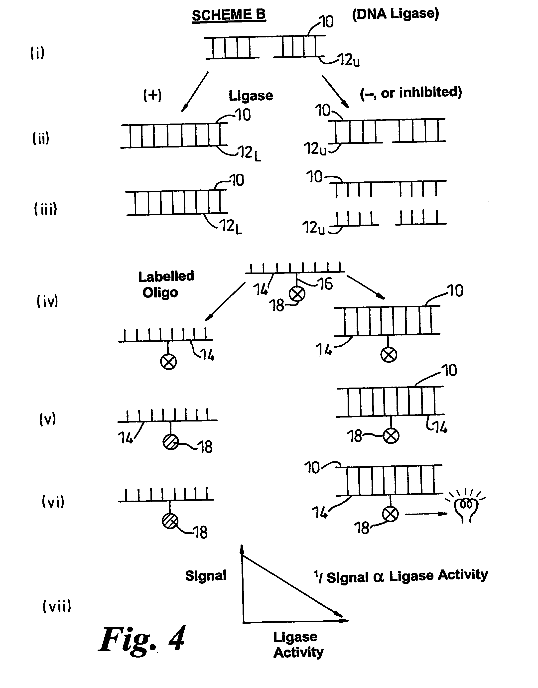 Methods of detecting modification of genetic material and monitoring processes thereof