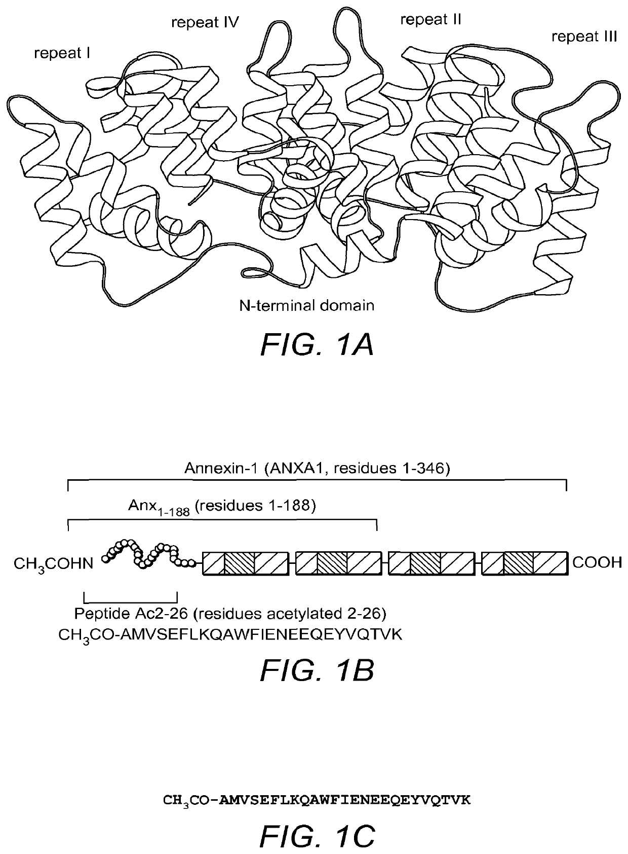 Use of Antibody