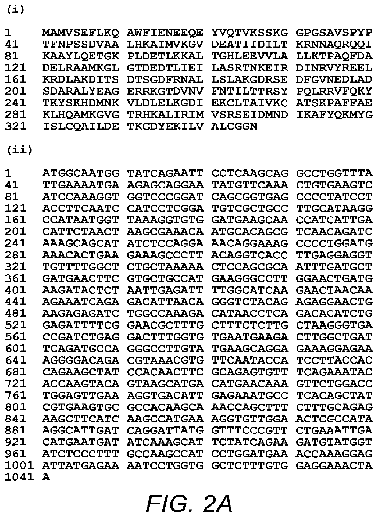 Use of Antibody