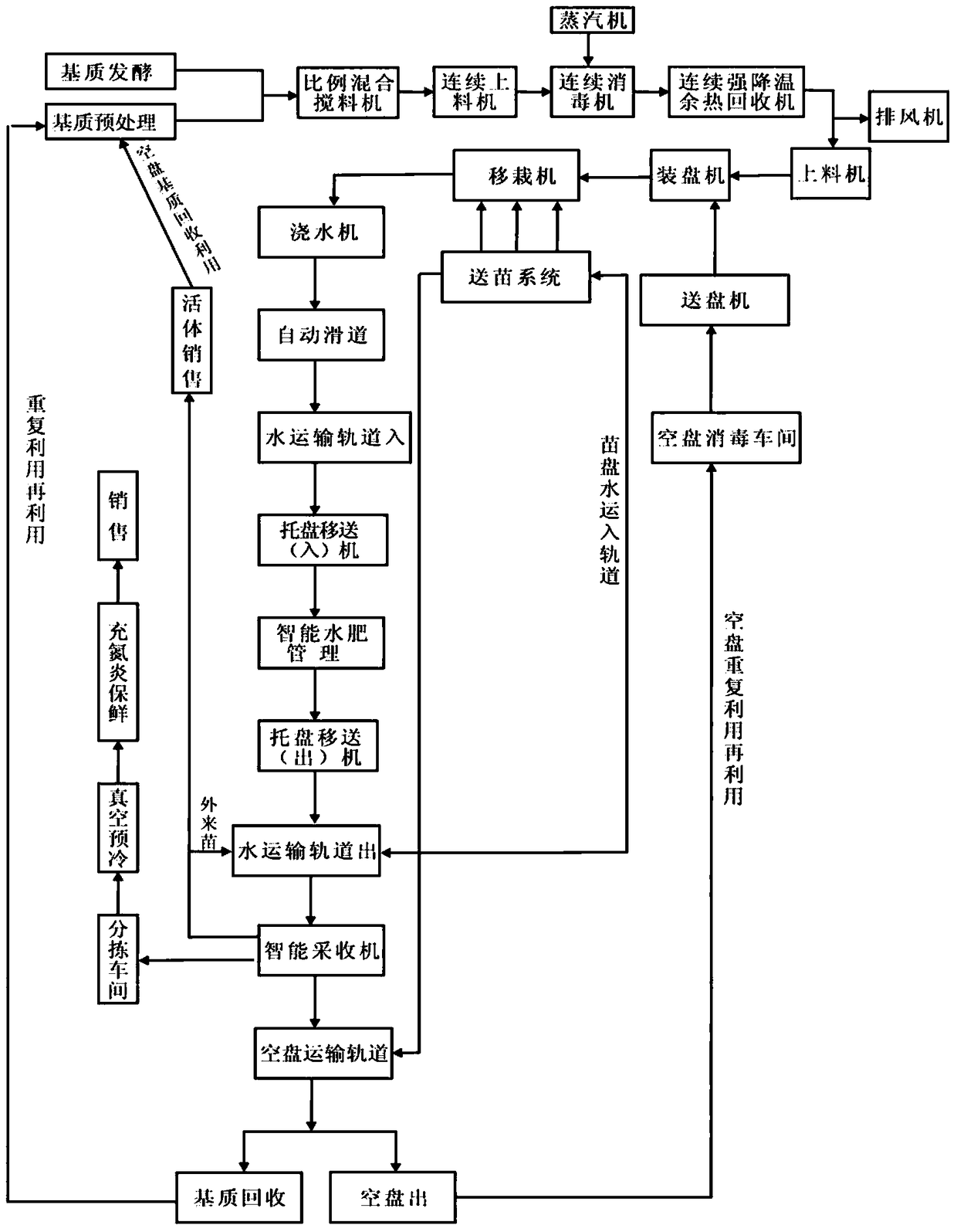 Method for intelligent large-scale sowing and seedling raising and direct seeding planting of leafy vegetables