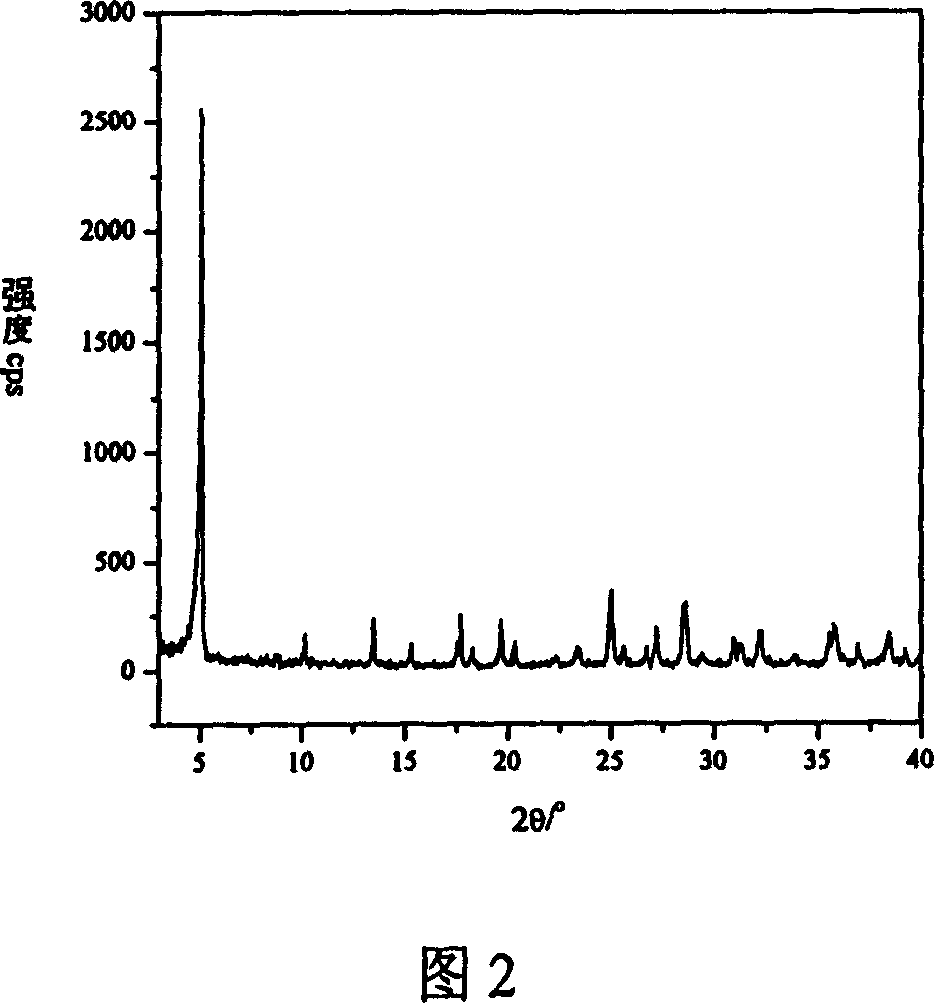 Inorganic microporous nickle and cobalt phosphate molecular sieves materials and their synthesis method