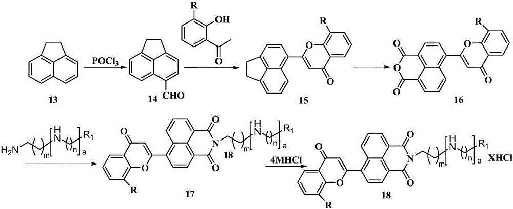 Benzopyran-4-one substituted naphthalimide-polyamine conjugate and preparing method and usage thereof
