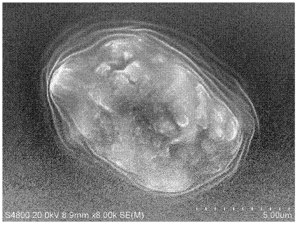 Preparation method of environmental protection enzyme and algal bloom inhibitor