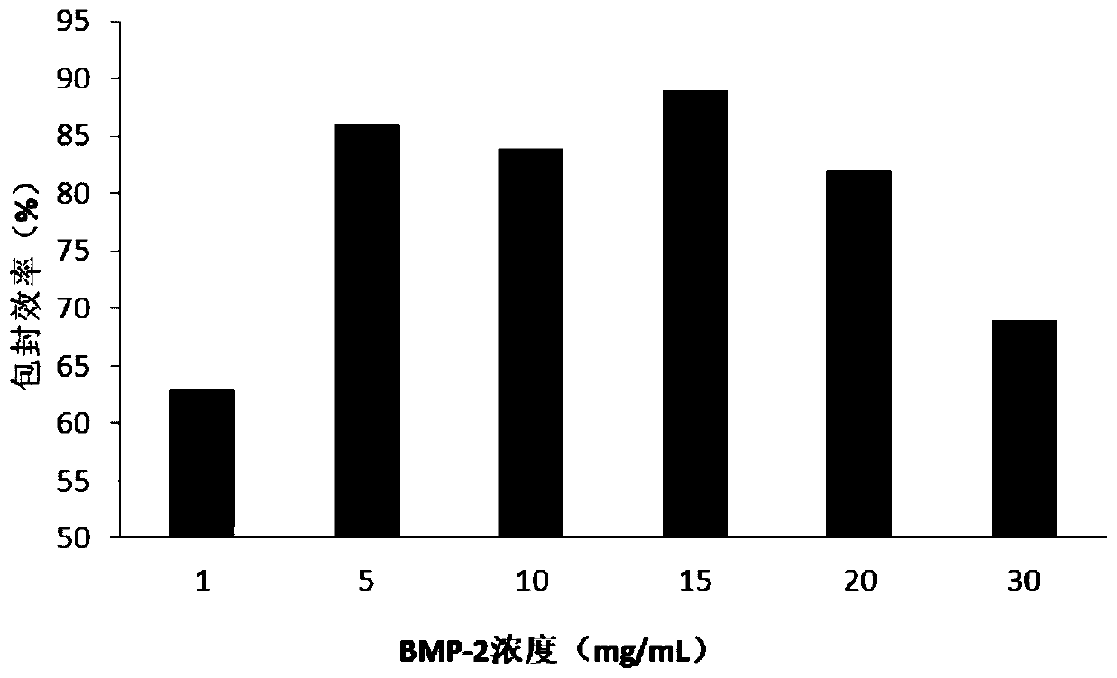 Application of plga microencapsulated scaffolds encapsulated with bmp-2 combined with prf in the preparation of drugs for promoting tendon-bone healing