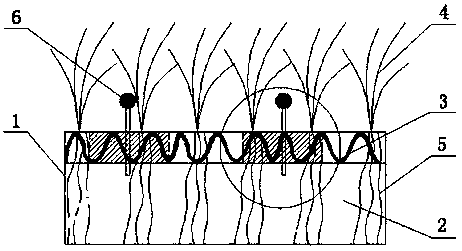 A kind of preparation method of undisturbed sample for indoor test of soil mechanical properties of reinforced plant