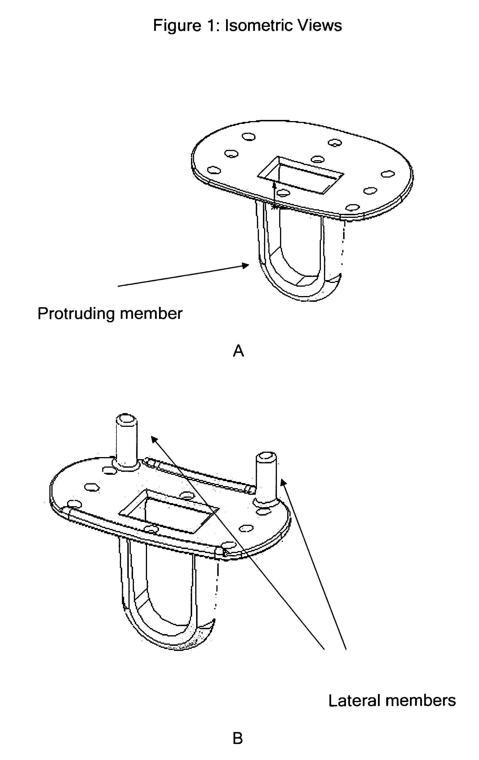 Device for anatomical support and uses thereof