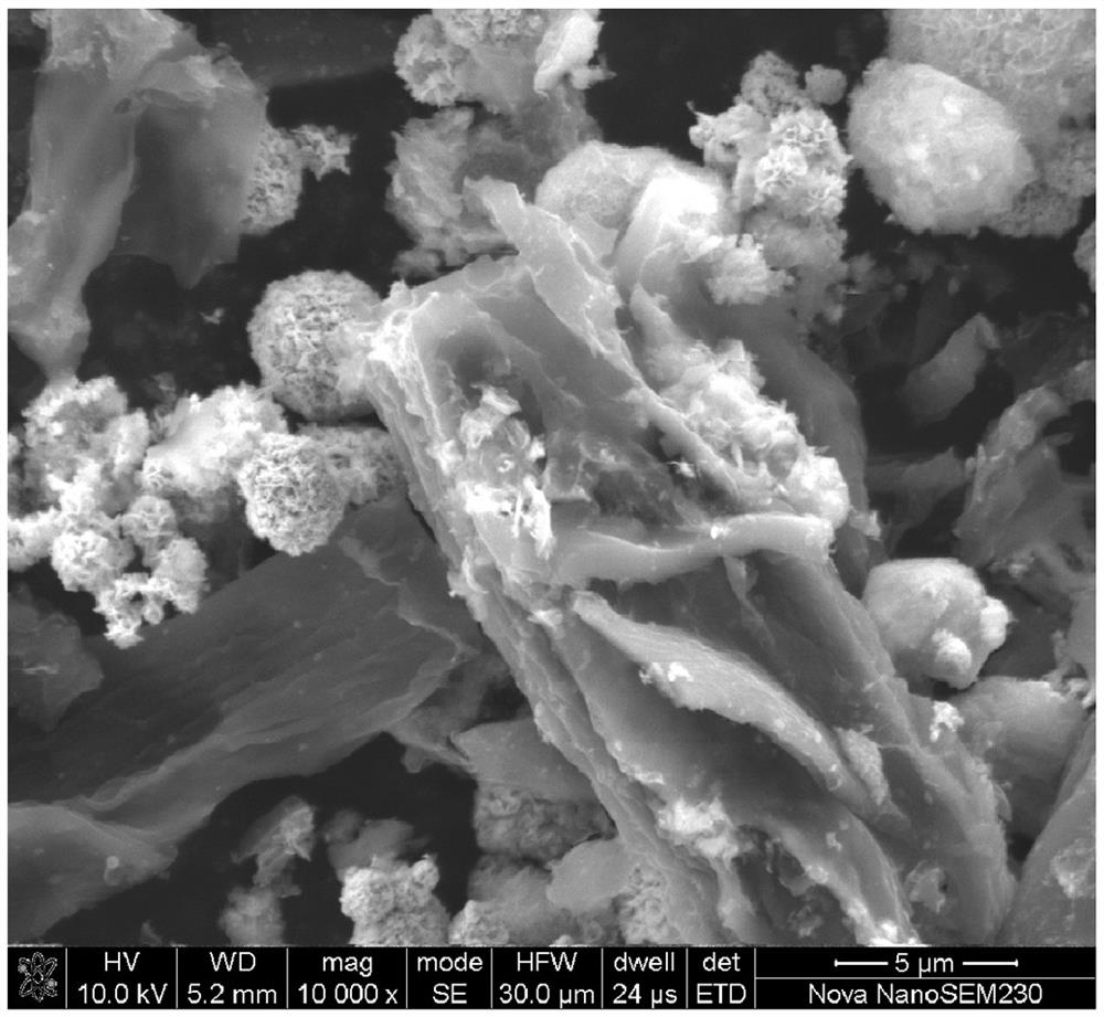 Wood carbon fiber/metal oxide composite negative electrode material and its preparation method and application