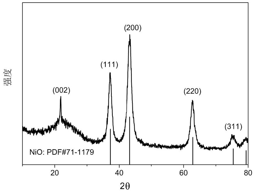 Wood carbon fiber/metal oxide composite negative electrode material and its preparation method and application