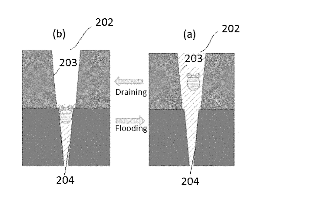 Microfluidic screening system