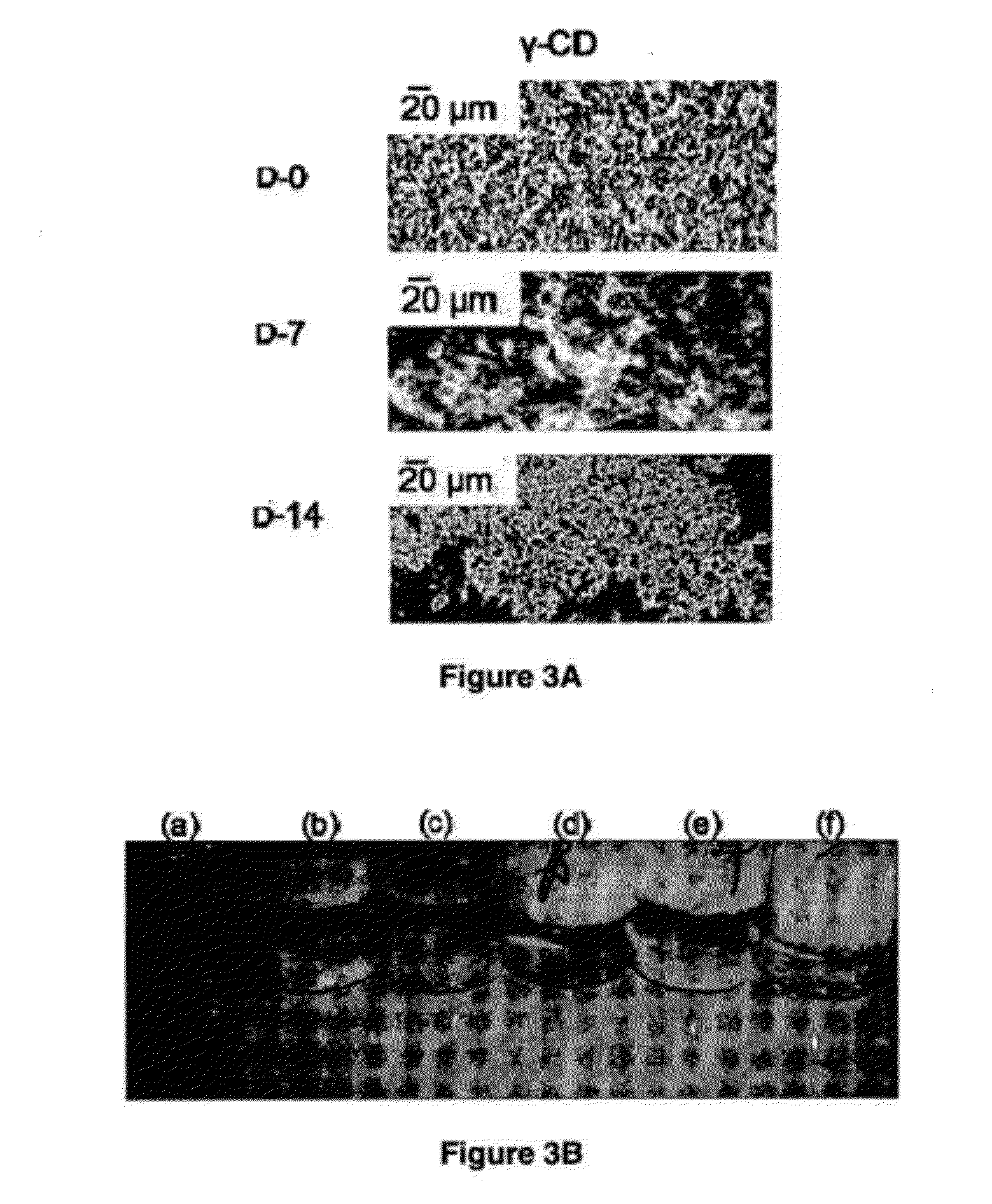 Method for forming cyclodextrin polymer and lipophilic compound emulsions, resulting emulsions, and compositions including said emulsions