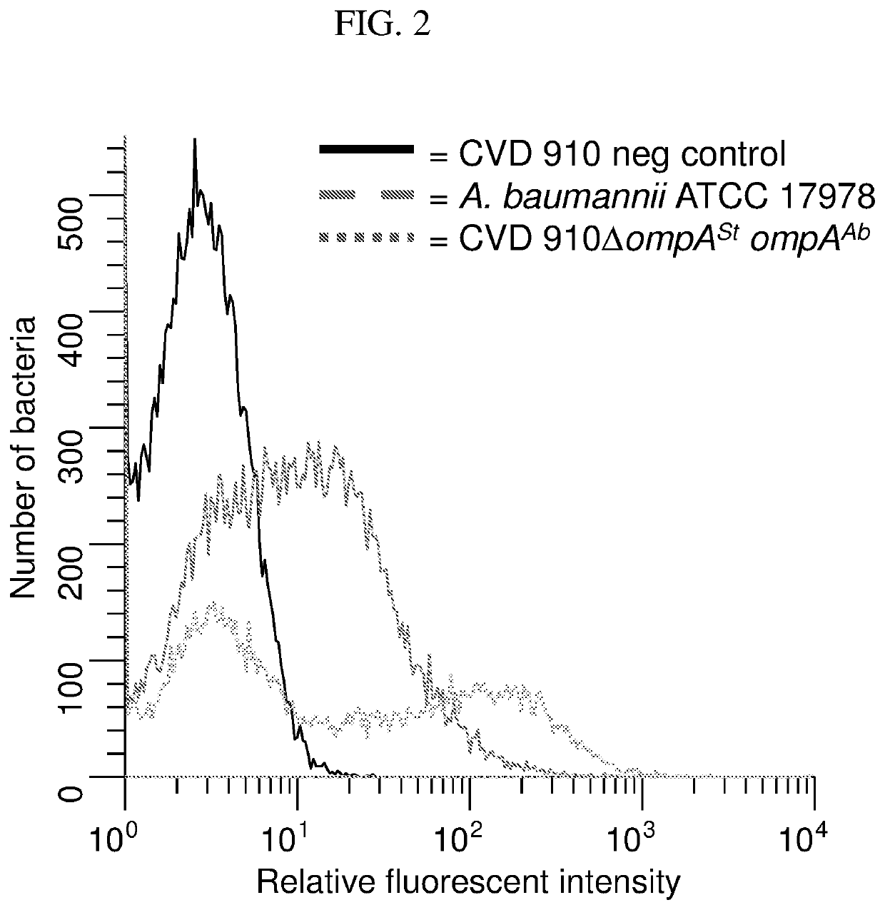 Live salmonella typhi vectors engineered to express heterologous outer membrane protein antigens and methods of use thereof