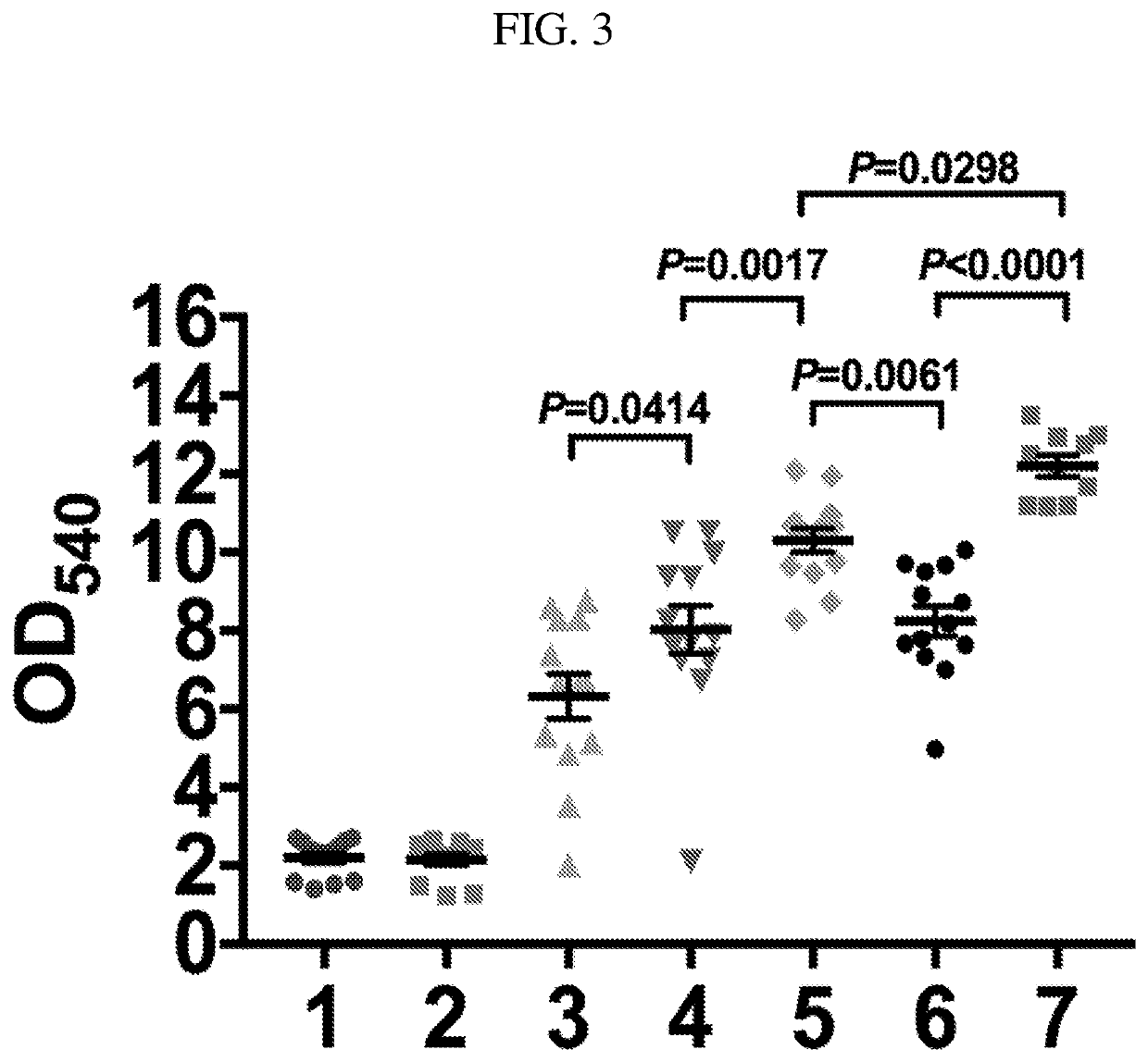 Live salmonella typhi vectors engineered to express heterologous outer membrane protein antigens and methods of use thereof