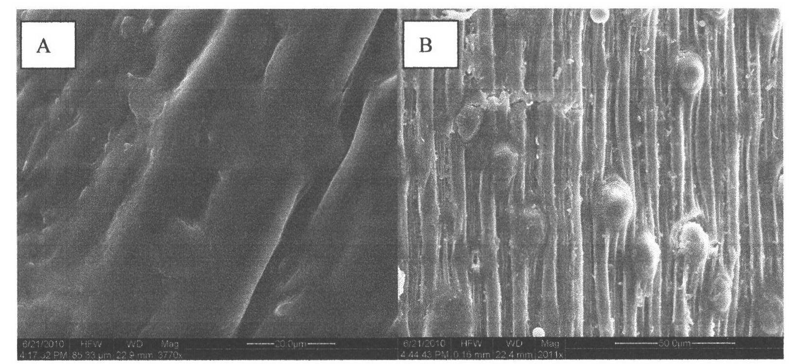 Method for preparing ferulic acid and oligosaccharide by producing enzymes from Salicornia bigelovii straws fermented by Aureobasidium pullulans