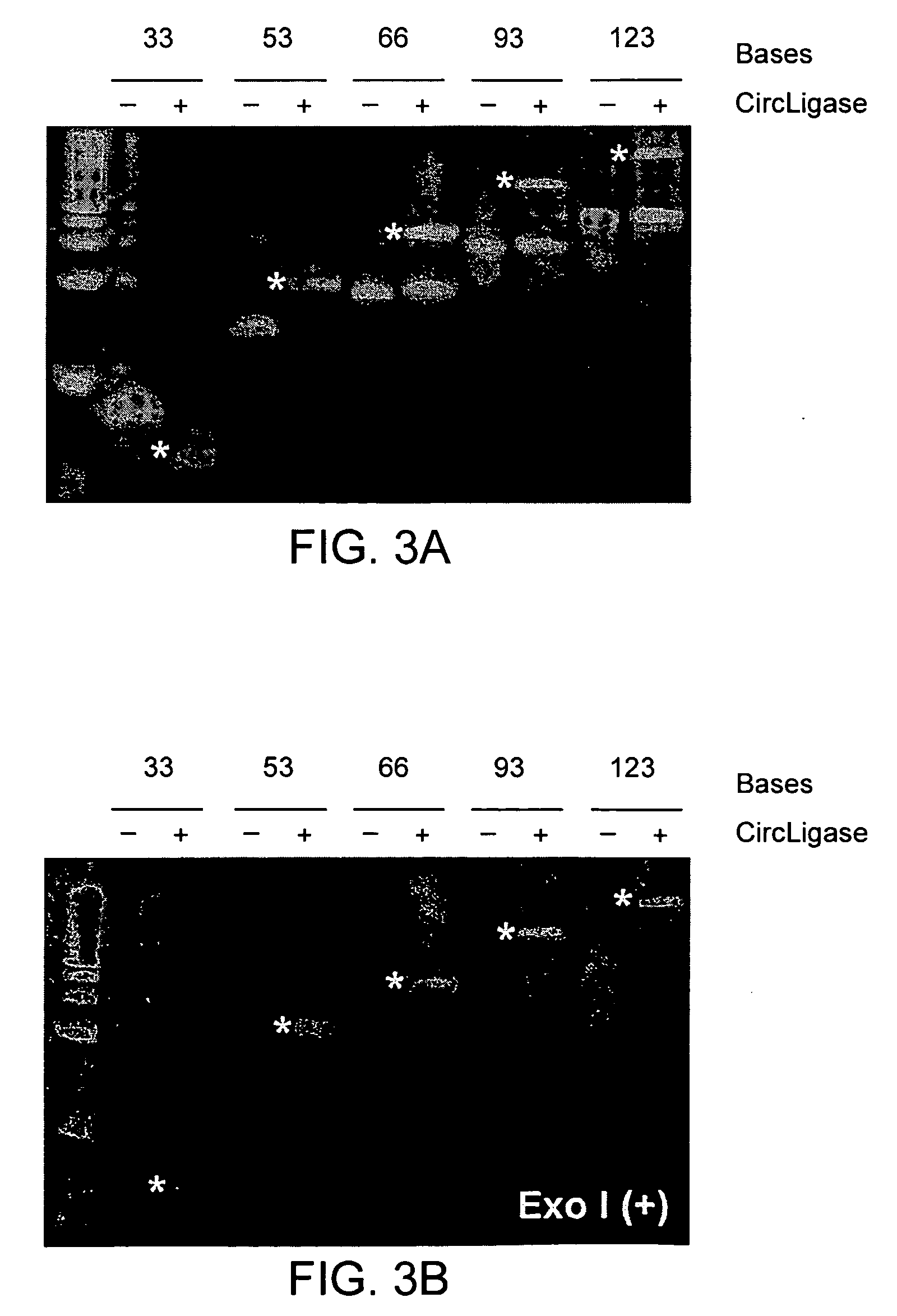 Methods for nucleic acid amplification and sequence determination
