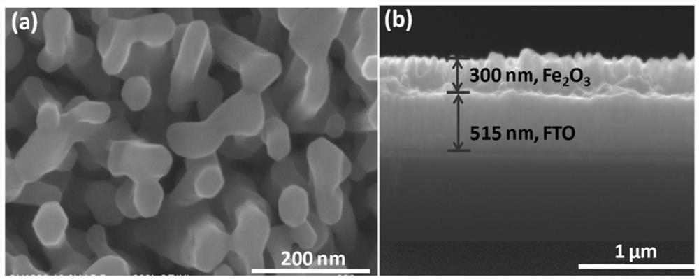 based on fe  <sub>2</sub> o  <sub>3</sub> Electrode-free glucose photoelectrochemical sensor and preparation method and detection method thereof