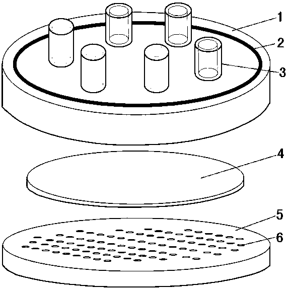 Magnetic suction membrane enrichment and separation device and its application method in solid-phase spectroscopic detection