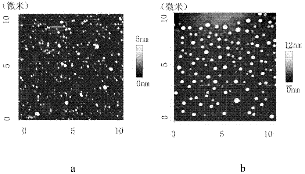 Protein medicine-carrying nano particle synthesis method