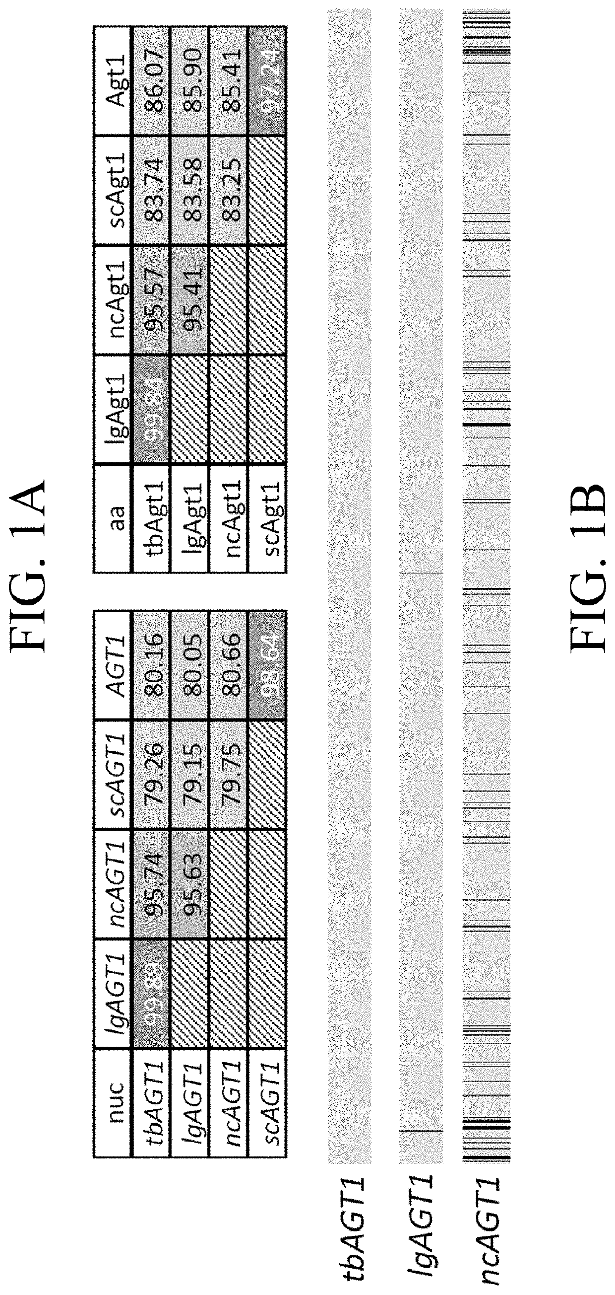 Polypeptide and yeast cell compositions and methods of using the same