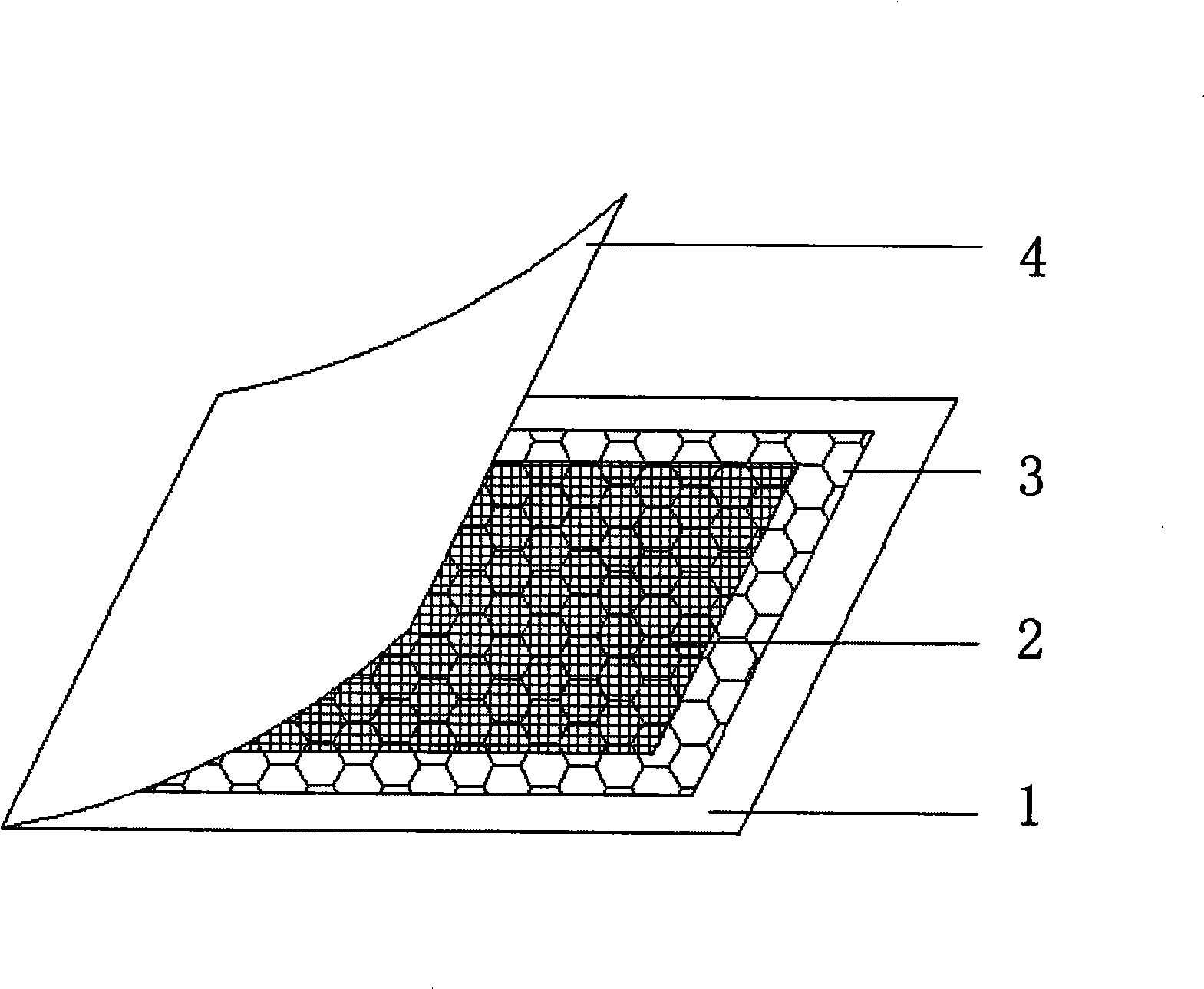 Patch capable of effectively preventing and treating apple-tree canker and production method thereof