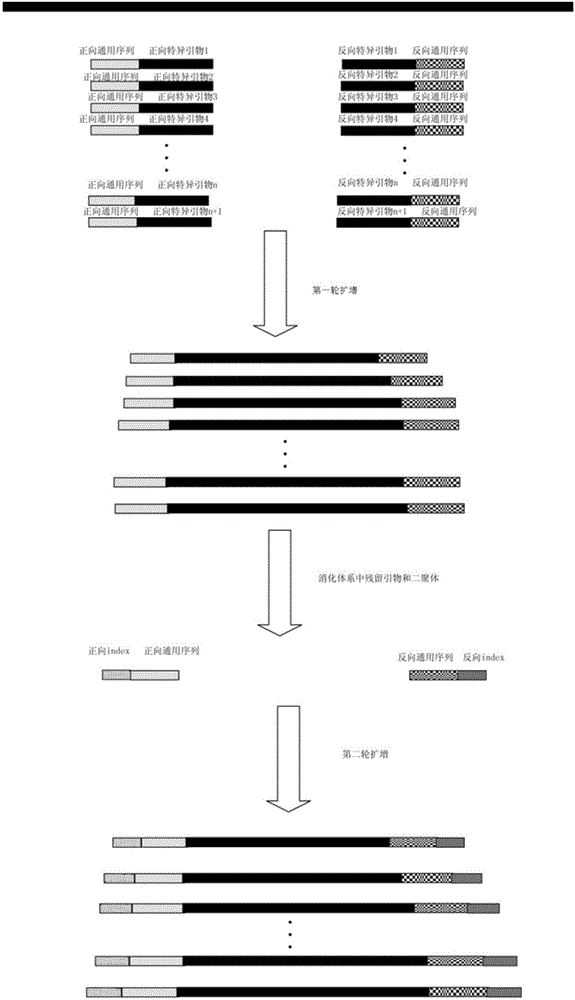 Marker based on high-throughput sequencing and method and kit for capturing one or multiple specific genes of multiple samples