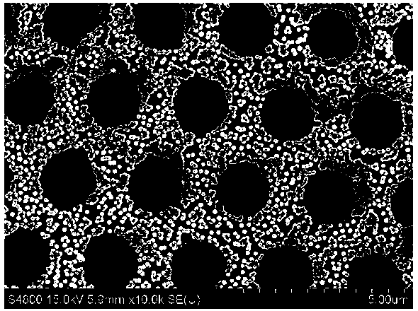Method for constructing functional ordered porous membrane by taking honeycomb-shaped porous membrane as template