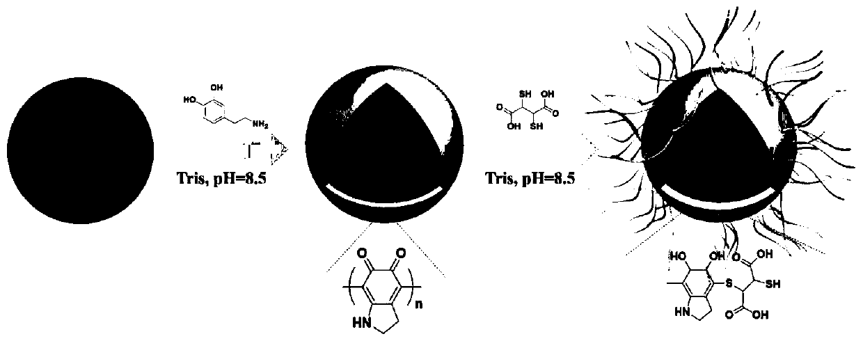 Preparation method and application method of carboxylated magnetic polymer microspheres