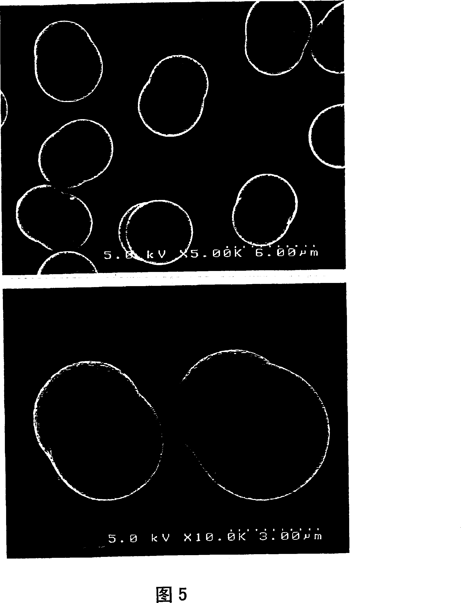 Liquid crystal spacer, spacer diffusion liquid, liquid crystal display device manufacturing method, and liquid crystal display divice