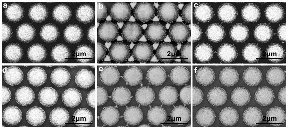 A preparation method of SERS substrate based on 2D noble metal nanostructure