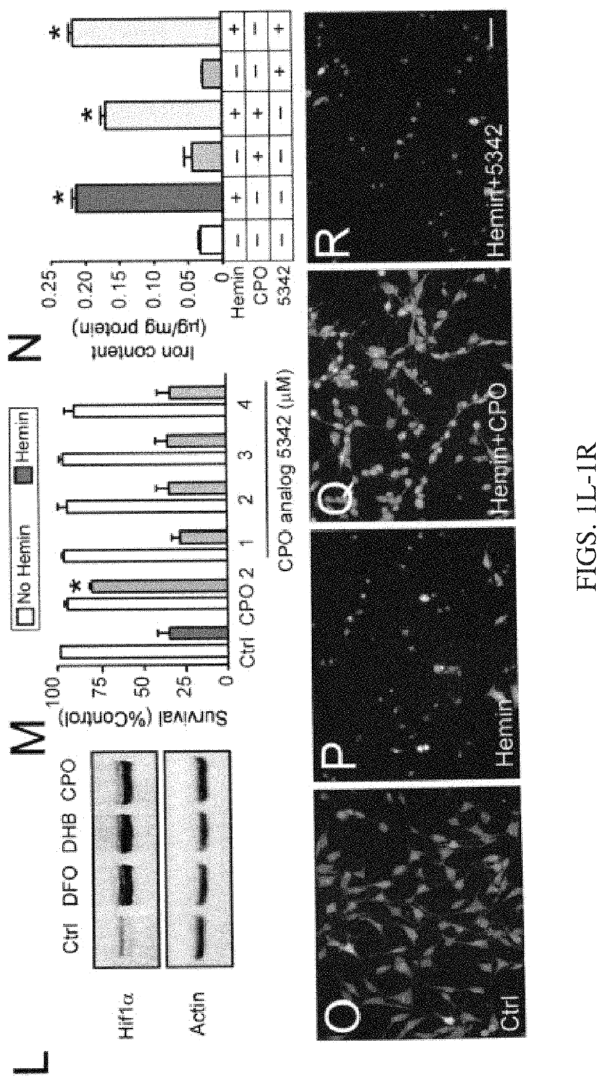 Prolylhydroxylase/ATF4 inhibitors and methods of use for treating neural cell injury or death and conditions resulting therefrom