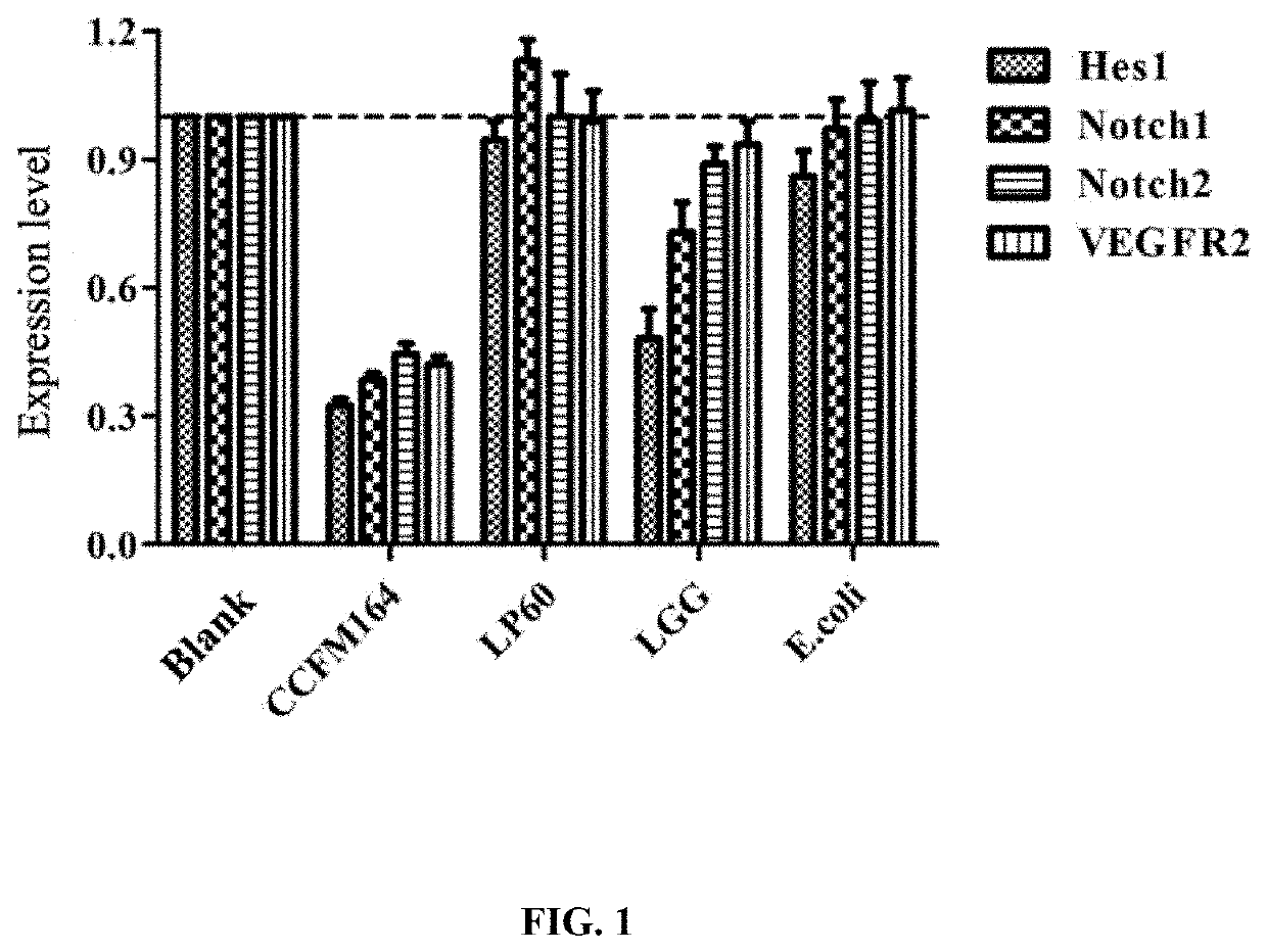 Lactobacillus plantarum with colorectal cancer inhibition function and use thereof