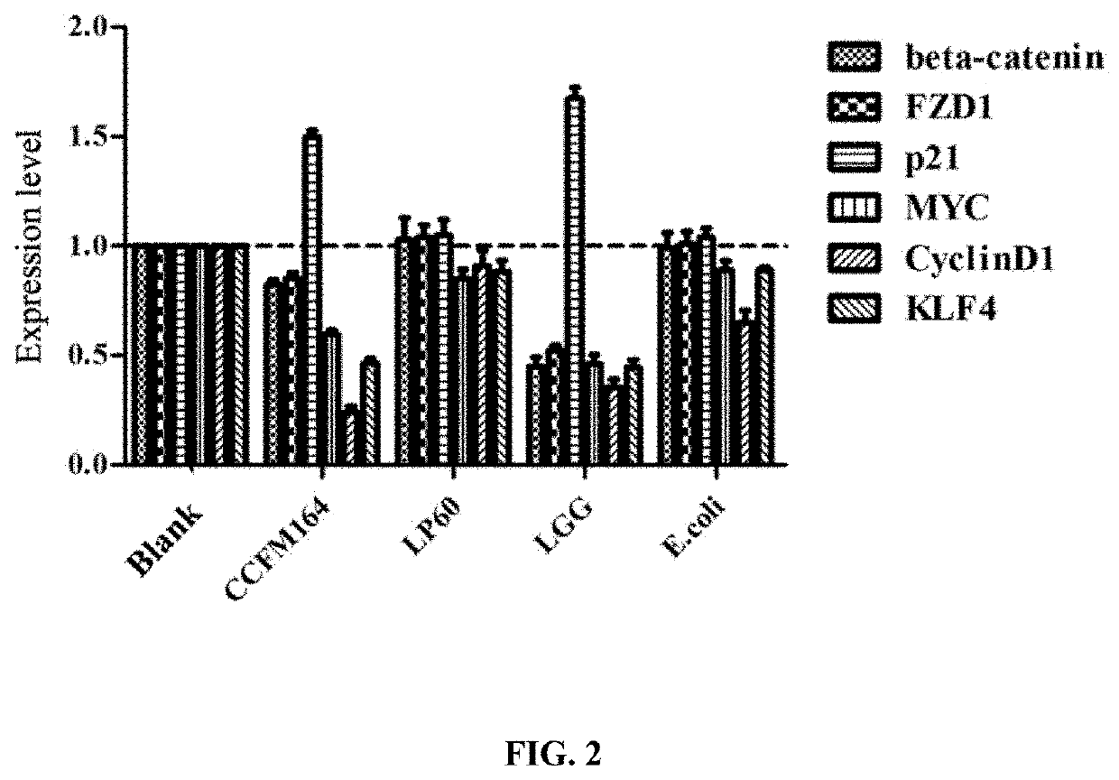 Lactobacillus plantarum with colorectal cancer inhibition function and use thereof