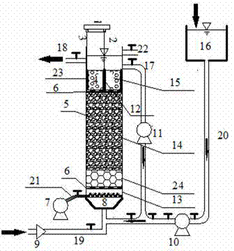 A three-dimensional electric-biology-coupled water purification system and a water purification method
