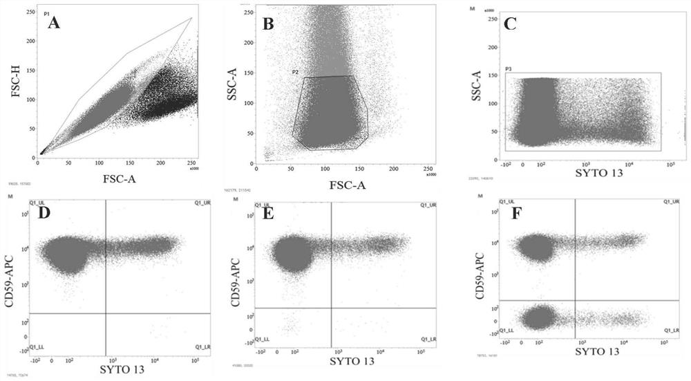 Flow cytometry detection method for Pig-a gene mutation test in rat body