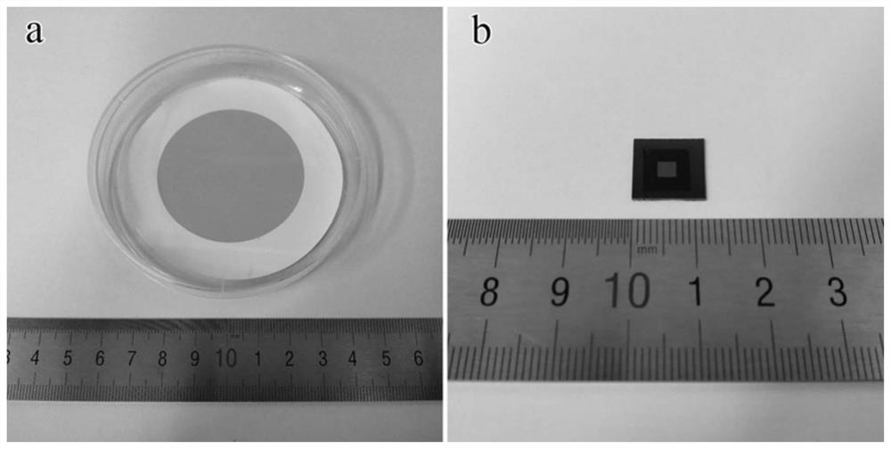 Preparation method of heterojunction photoelectric detector based on single-walled carbon nanotube film