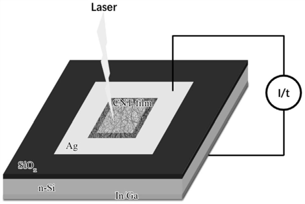 Preparation method of heterojunction photoelectric detector based on single-walled carbon nanotube film