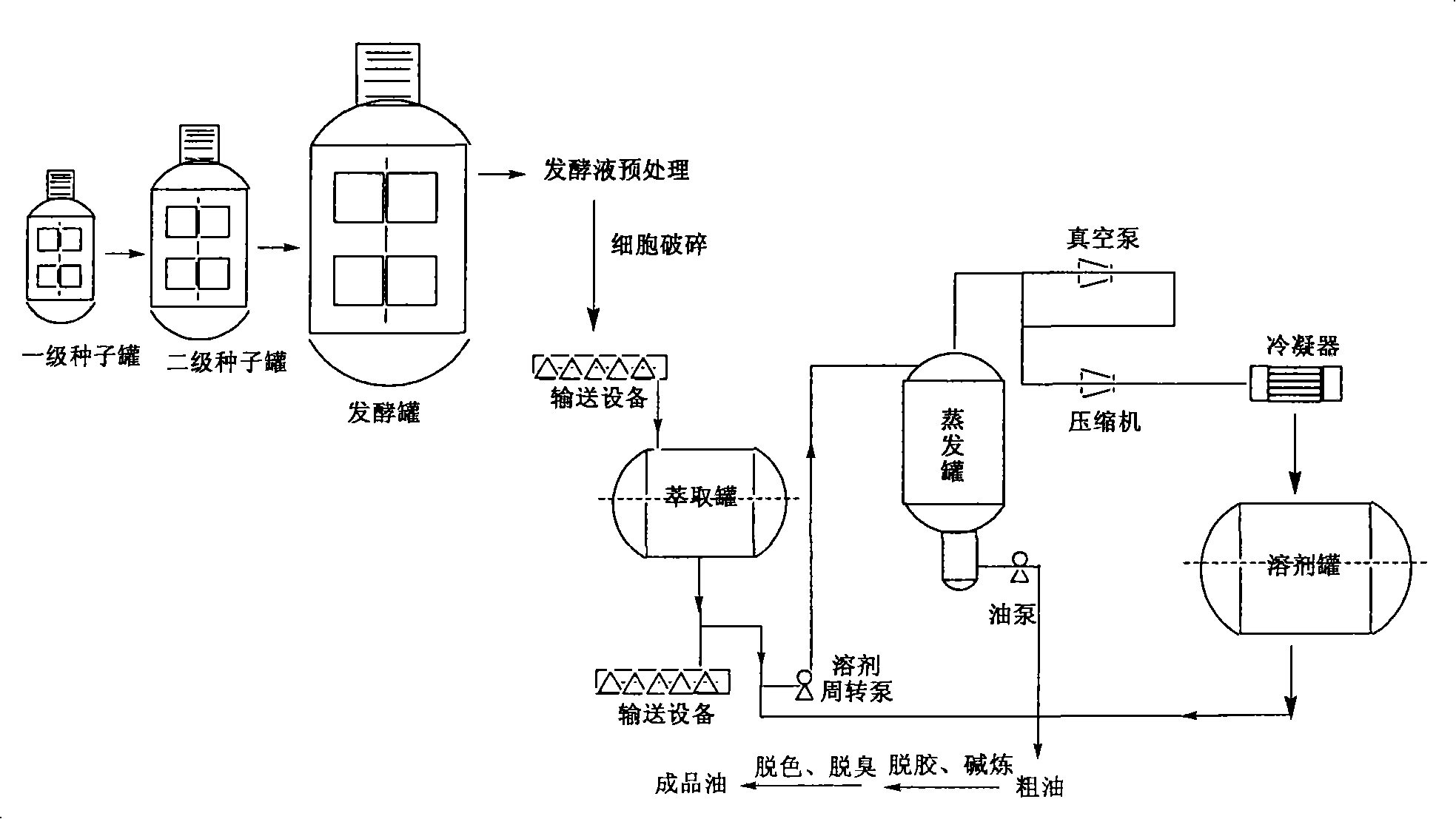 Technique for extracting and refining DHA enriched fatty acid from Crypthecodinium cohnii
