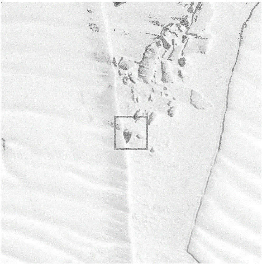 Emperor penguin population quantity remote sensing estimation method