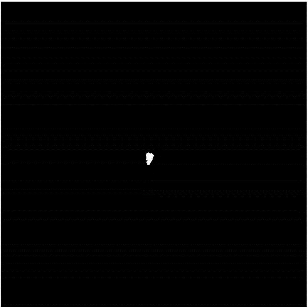 Emperor penguin population quantity remote sensing estimation method